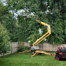 Best Organic Lawn Care Solutions  in Tell City, IN